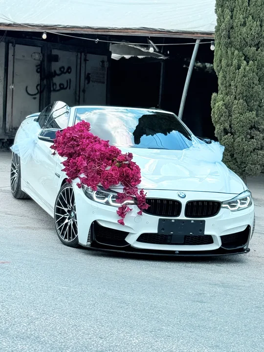 BMW f32 2017